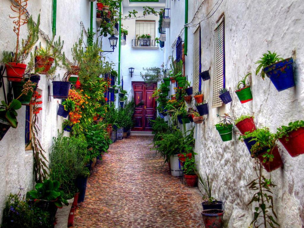 El Patio Dona Julia Apartment Casares Exterior foto
