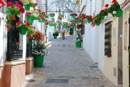 El Patio Dona Julia Apartment Casares Exterior foto